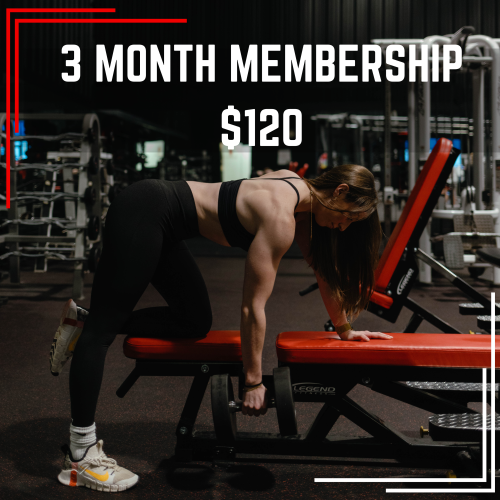 3 Month Membership $120